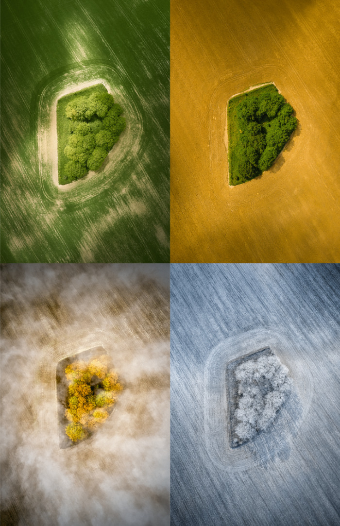 Your View Commended: Neil Barclay, 'A Field In England'