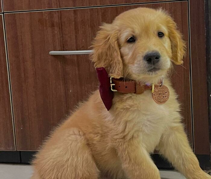 Here Is The Other One Sryy