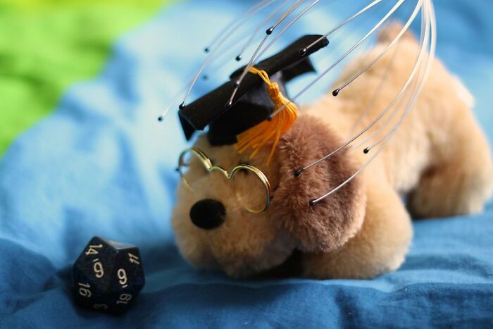 Men Online Reveal 30 Things They Learned About Women Once They Started Dating One