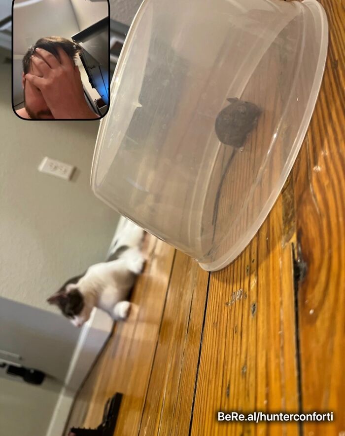 People Are Sharing Their Hilarious BeReal Pics, Here Are 35 Of The Funniest Ones