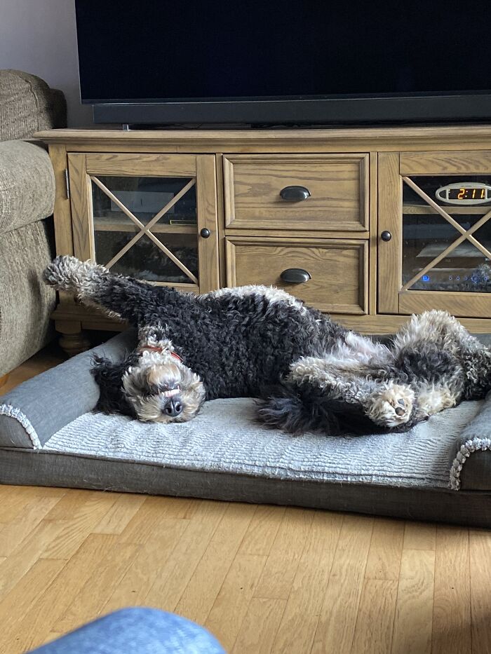 Stetson Airing Out His Phantom Balls