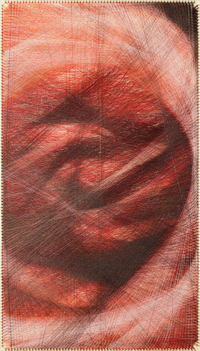 Red Rose In Full Bloom