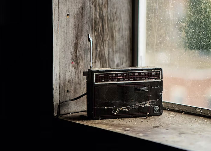 Someone Asks, "What Will Die With Millennials?" And 45 People Don't Hold Back Their Opinions