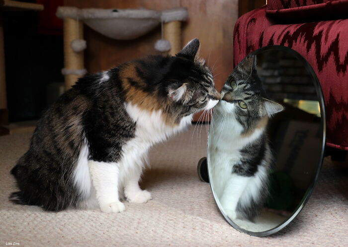 30 Pet Peeves And Red Flags When You First Start Dating Someone, As Pointed Out By Folks Online