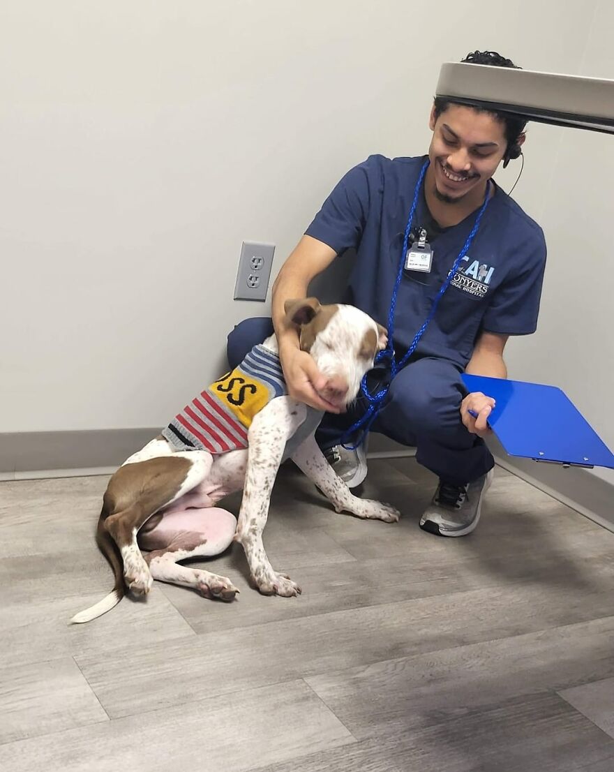 Abandoned Puppy Gets Another Chance At Happiness When Loving People Take Him Into Their Care