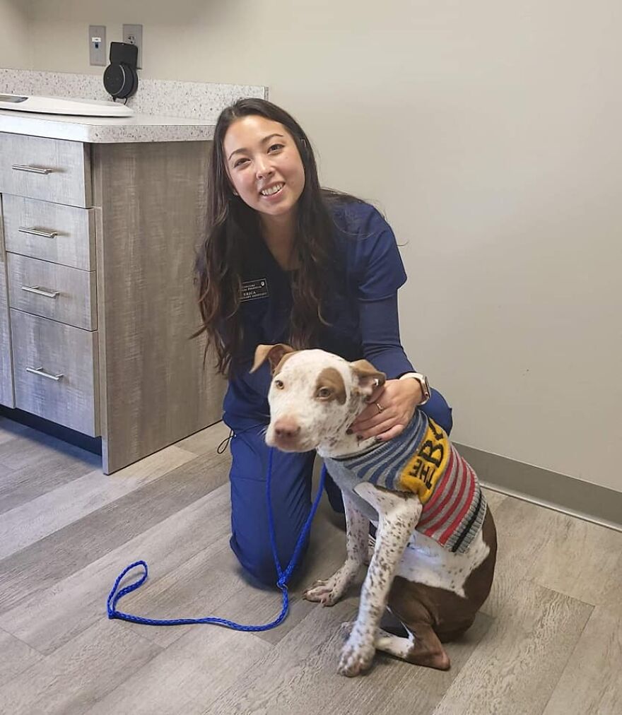 Abandoned Puppy Gets Another Chance At Happiness When Loving People Take Him Into Their Care