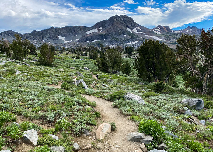 71-Year-Old Breaks Into Song After Completing 2,650-Mile Pacific Crest Trail, Which Many Fail To Finish