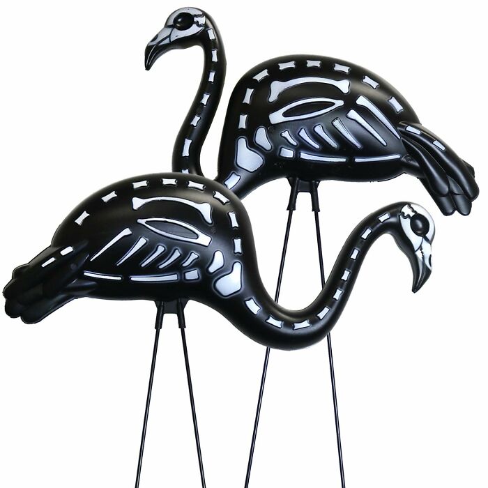 Skeleton Flamingos