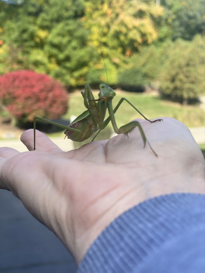 Greetings Earthlings