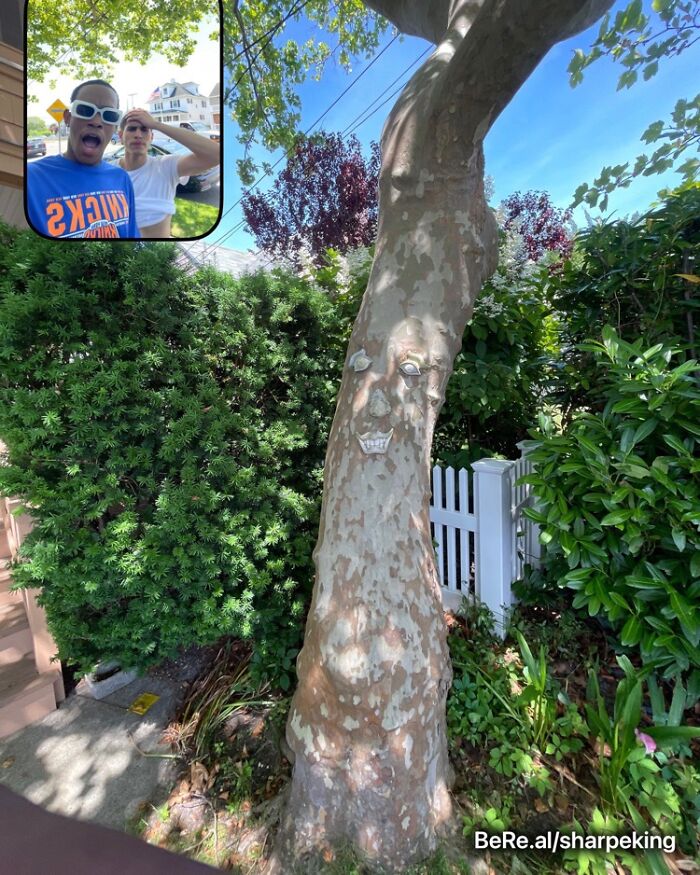 Best-Funny-Weird-Bereal-Photos