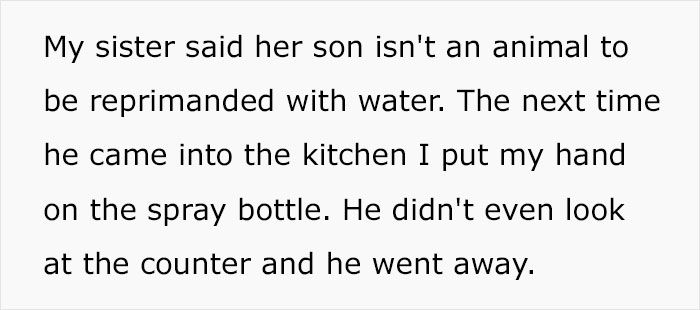 "He Is A Monster": Aunt Uses A Spray Bottle To Discipline Her "Rainbow Baby" Nephew Who Is Spoiled Beyond Belief, Causes Drama "He Is A Monster": Aunt Uses A Spray Bottle To Discipline Her "Rainbow Baby" Nephew Who Is Spoiled Beyond Belief, Causes Drama