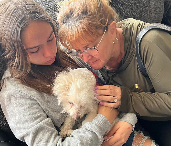 &ldquo;He Had One Job!&rdquo;: Husband Goes To Groomers, Comes Home With The Wrong Dog