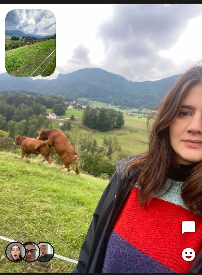 Best-Funny-Weird-Bereal-Photos