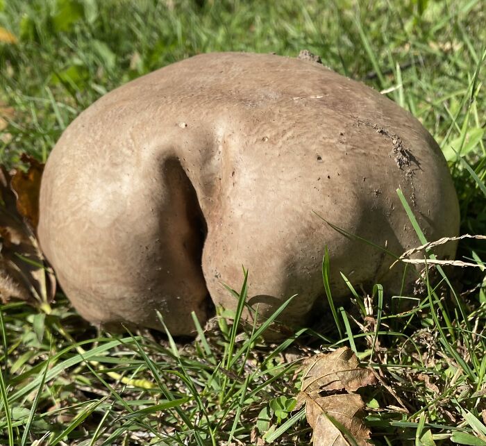 We Tried To Not Crack Up When We Found This In Somerset, Ma