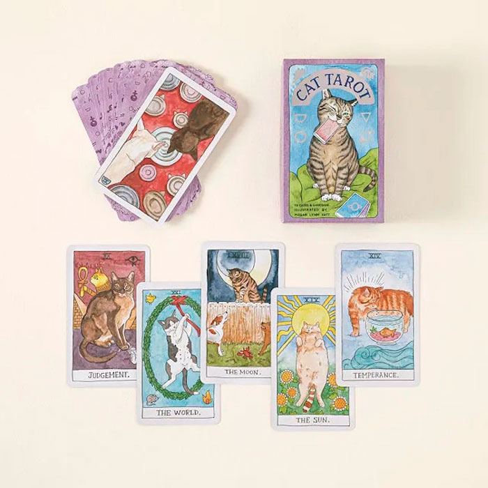 Cat Tarot Card Deck