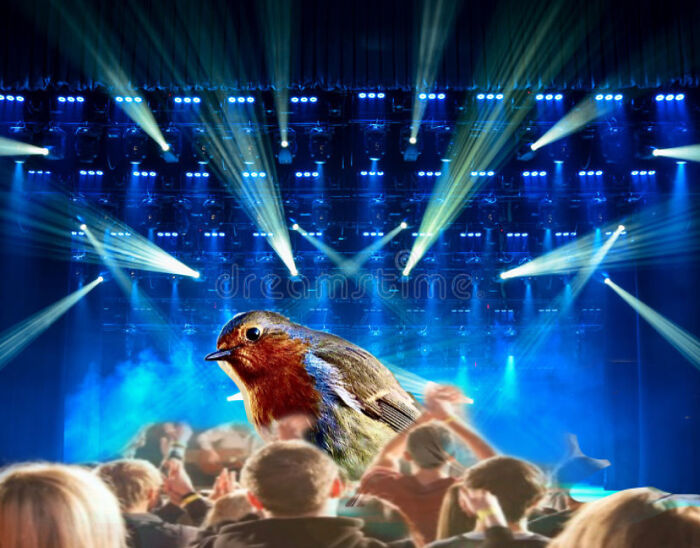 I Did The Best I Could 😂 Never Photoshopped Before