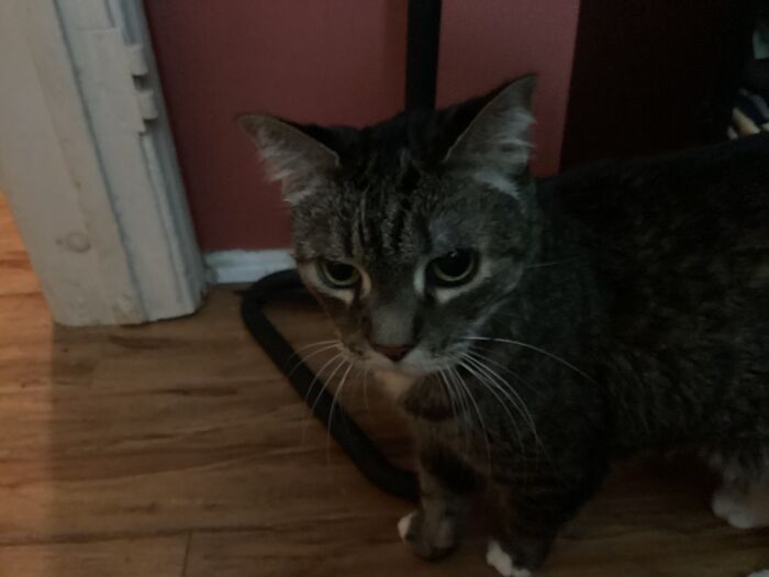 My Sweet Old Baby. She Only Has A Little Time Left