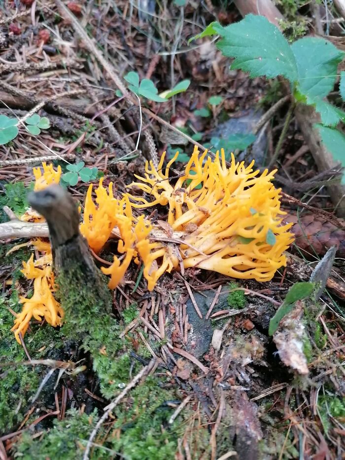 Ružomberok, Slovakia