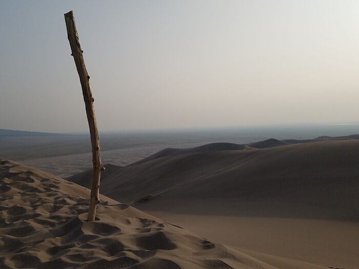 “I Own An Official Nanosecond”: 35 Rare Items Owned By Our Community