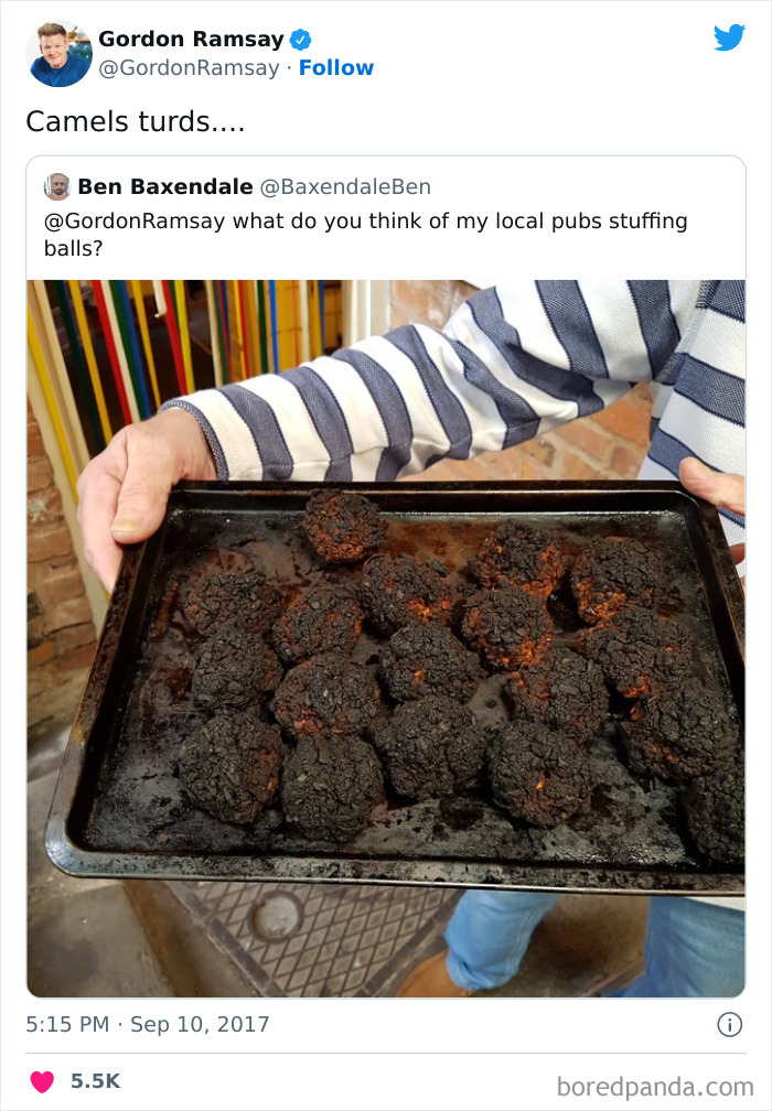 Gordon Ramsay Roasts