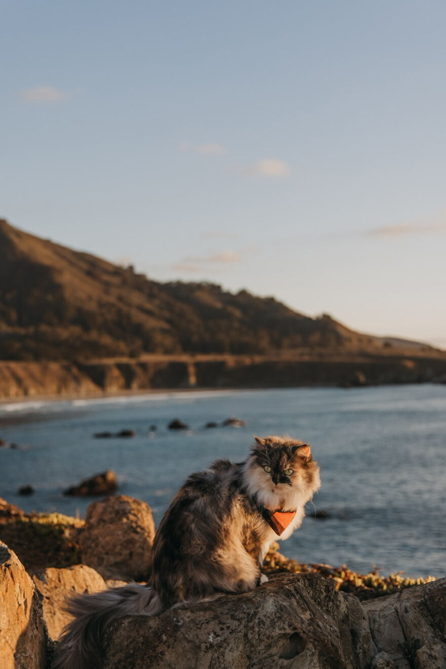 The Beautiful Coast Of Big Sur