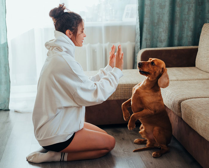 Woman in a white hoodie playing with her dog at home to avoid boredom.