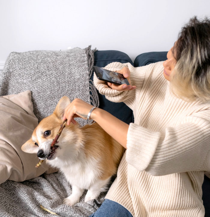 Woman photographing her corgi at home, creating fun memories to avoid boredom.