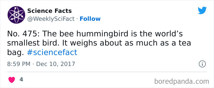 Science Facts