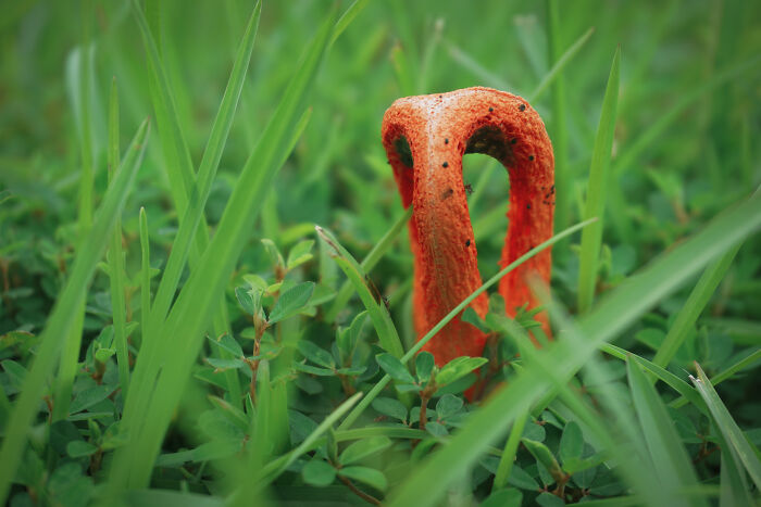 Moss Bluff, Louisiana