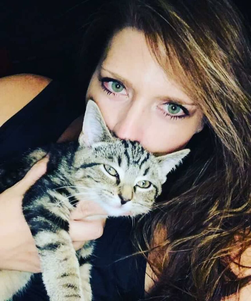 A Cat Is Rescued From The Wall After A Bathroom Renovation A Cat Is Rescued From The Wall After A Bathroom Renovation