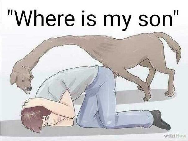 Wednesday Meme Pack