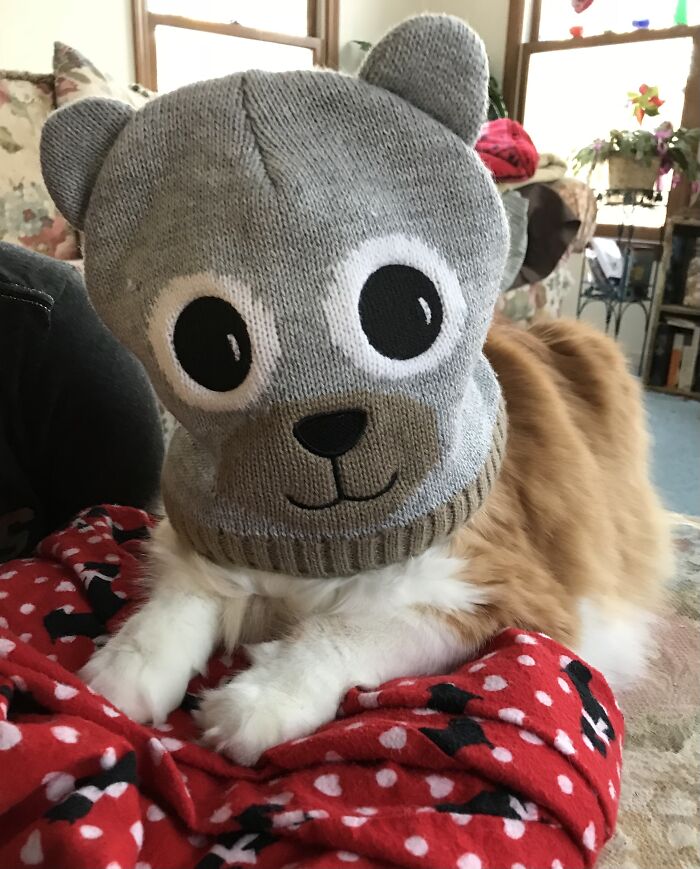 Witness Protection Program. But He’s Smiling Underneath Too