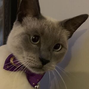 jonnamichellew avatar