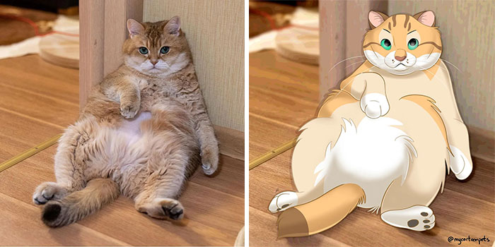 Hosico