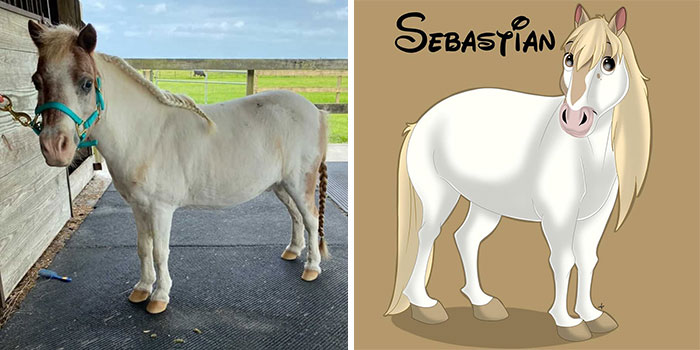 Sebastian