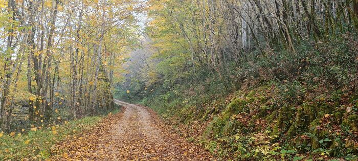 Autumn In Istria, Croatia