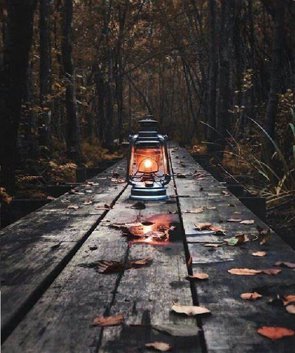 7 Autumn Photography I Took To Celebrate The Season