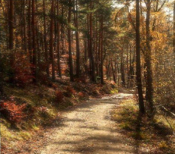 7 Autumn Photography I Took To Celebrate The Season