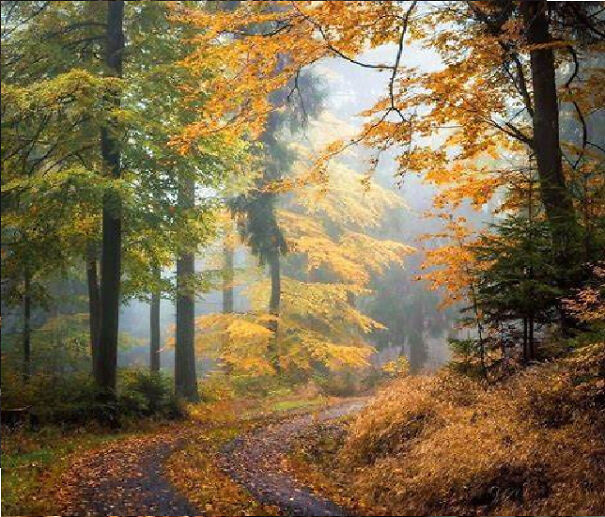 7 Autumn Photography I Took To Celebrate The Season