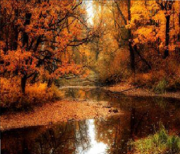 7 Autumn Photography I Took To Celebrate The Season