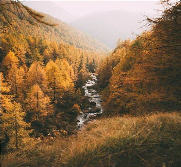 7 Autumn Photography I Took To Celebrate The Season