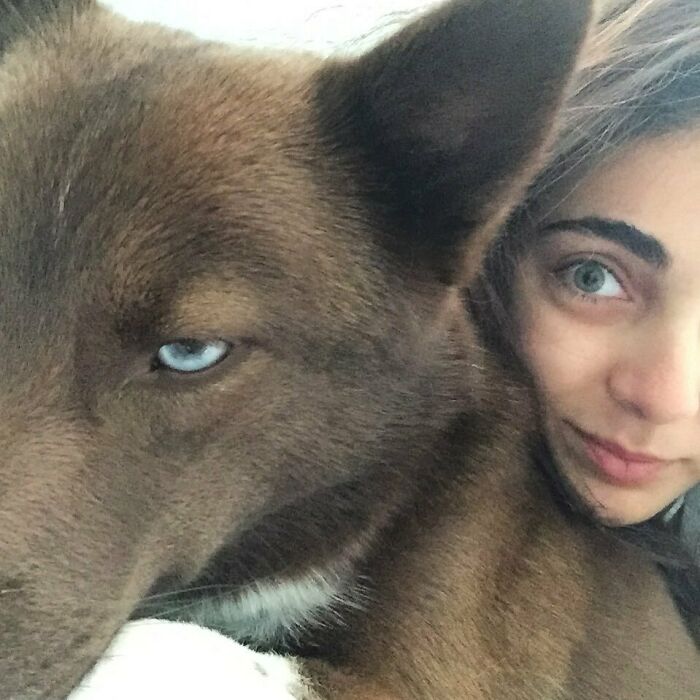 They Say Dogs Look Like Their Owners, Which Makes Me Think They’re The Ones That Choose Us