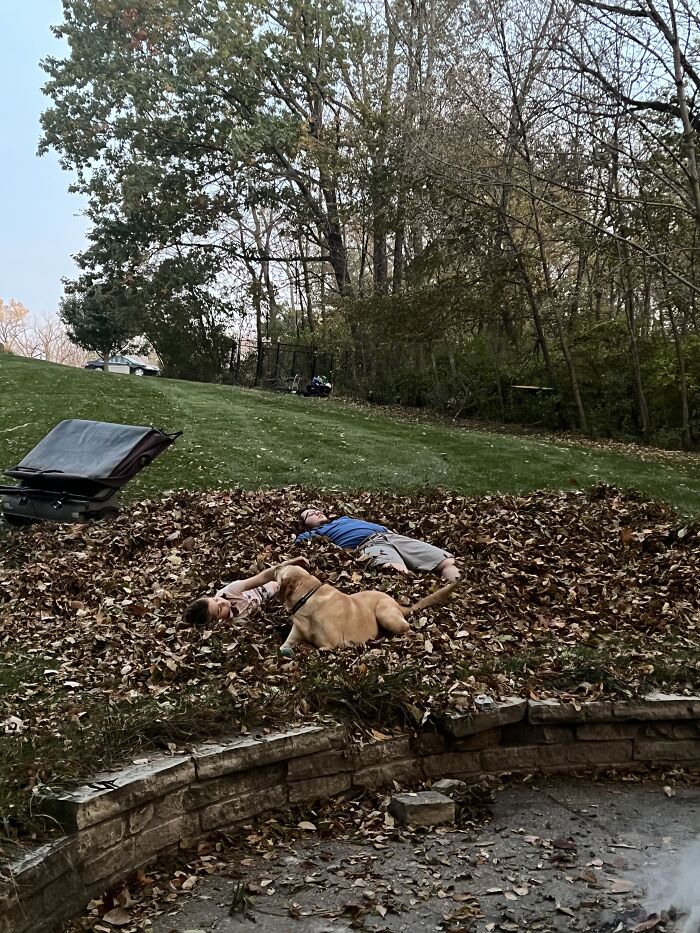 3 Acres Of Leaves-After 2 Days Of Burn!