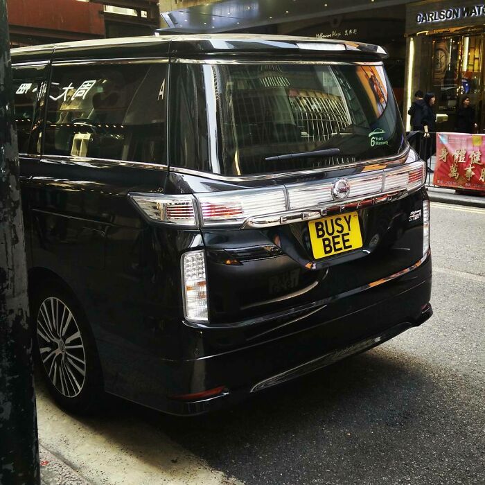 Someone Has Been A Busy Bee