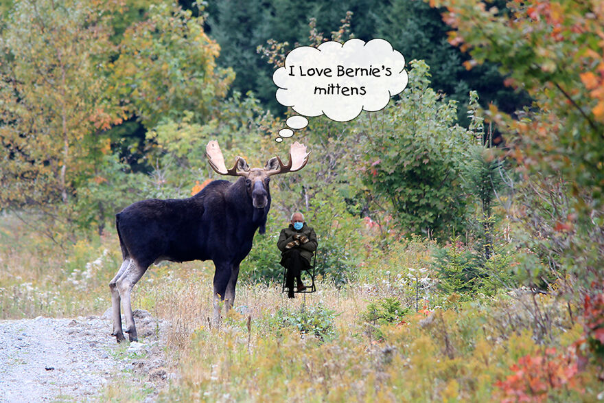 Bernie Visits Maine In Memes