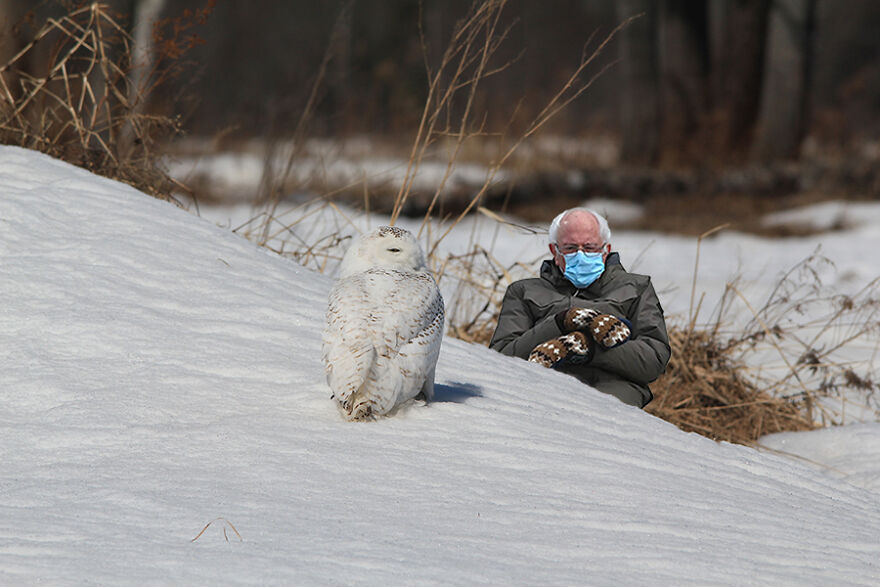 Bernie Visits Maine In Memes