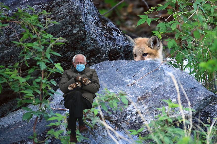Bernie Visits Maine In Memes