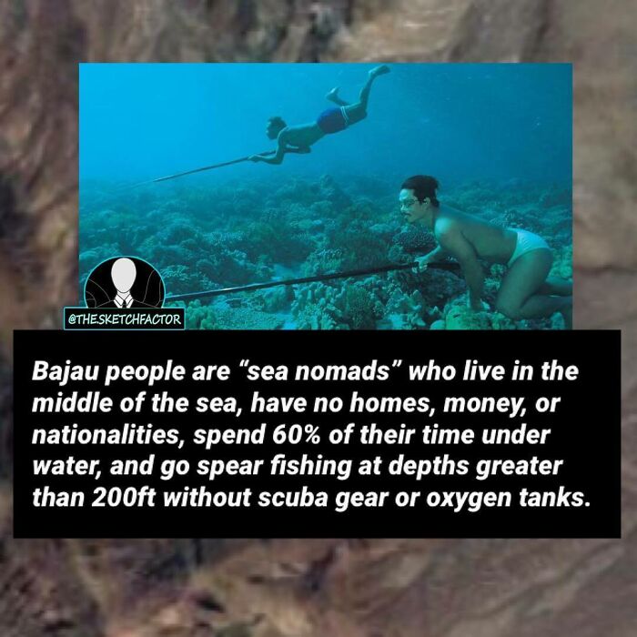Two Bajau sea nomads spearfishing underwater at depths over 200ft without scuba gear, showcasing disturbing and morbid facts.