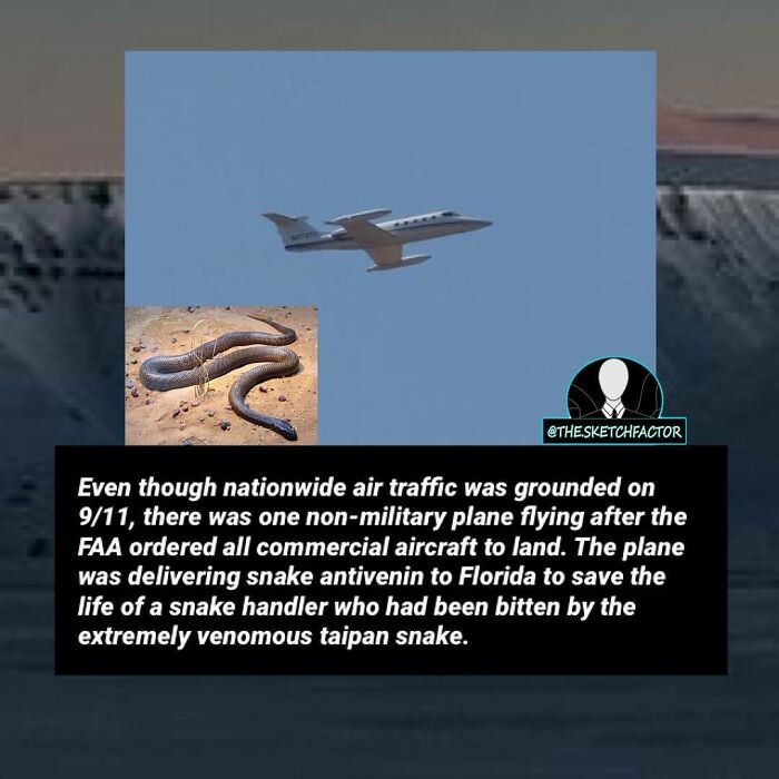 A private plane flying during 9/11 delivers snake antivenin to save a handler bitten by a venomous taipan snake.