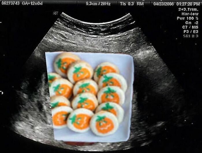 Funny-Halloween-Memes